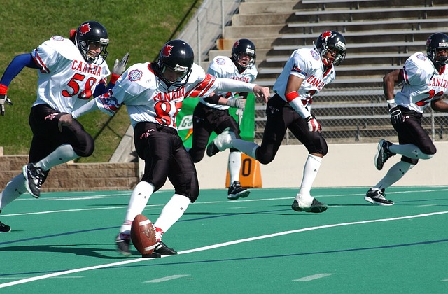 这不仅体现 这不仅体现