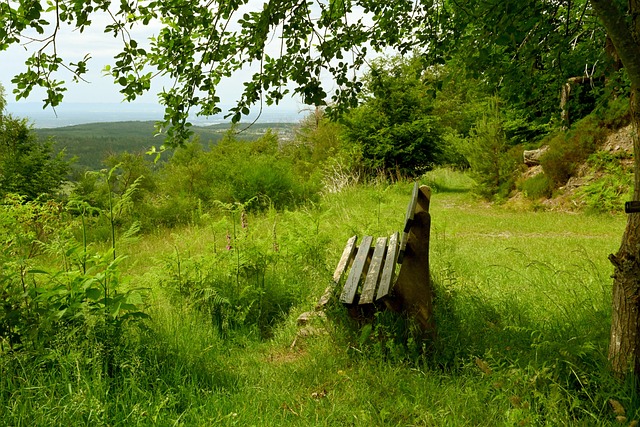 的情况下 的情况下
